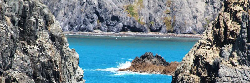 Dov C 🇺🇸🦅 banner