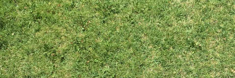 CarolGalleg's profile banner image
