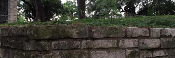 BeingKnowing Profile Banner