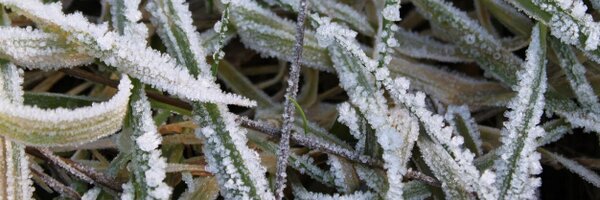 OrestesO Profile Banner