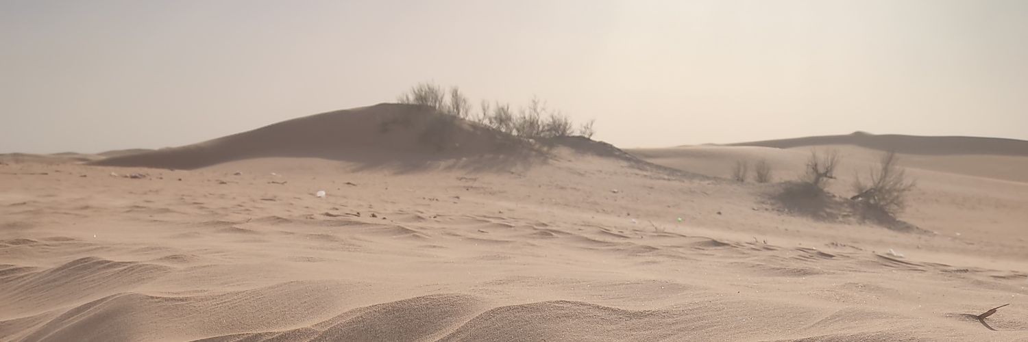 chawi88's profile banner image