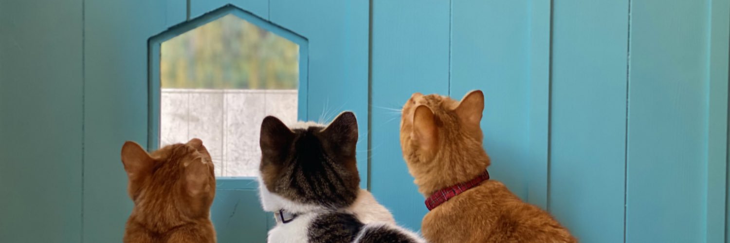 savecatcafe's profile banner image