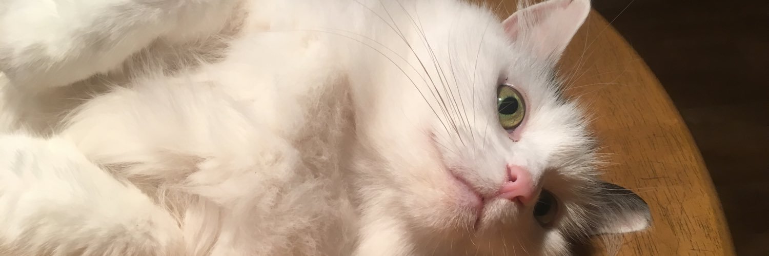 RebeccaaSarahhx's profile banner image