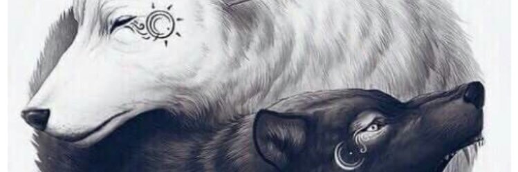 Caralyn Smith banner