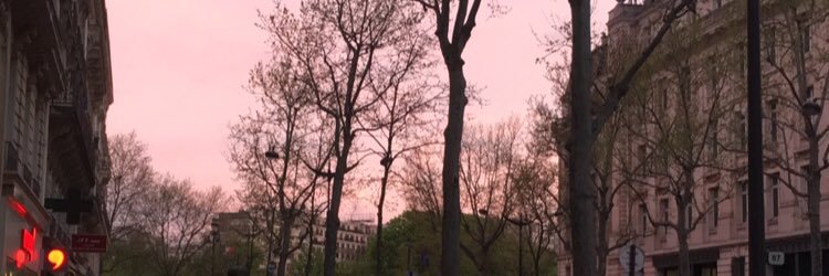 m1_samah's profile banner image