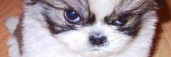 MartyAltego's profile banner image