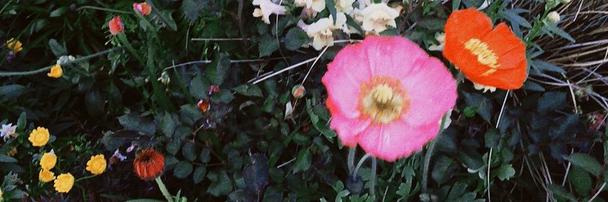 amnos_3900's profile banner image