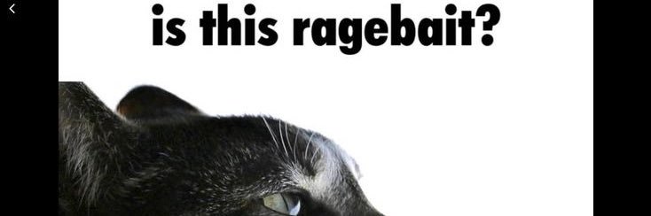 btholder_'s profile banner image