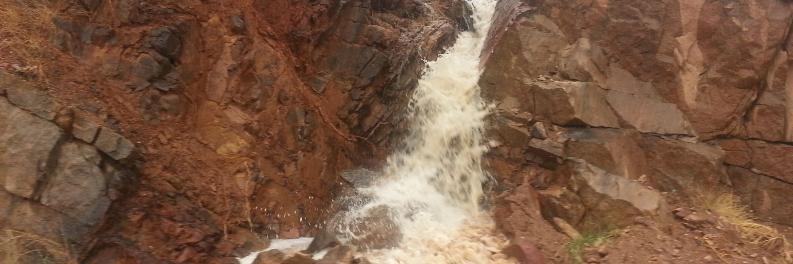 ابوسعد الحربي banner