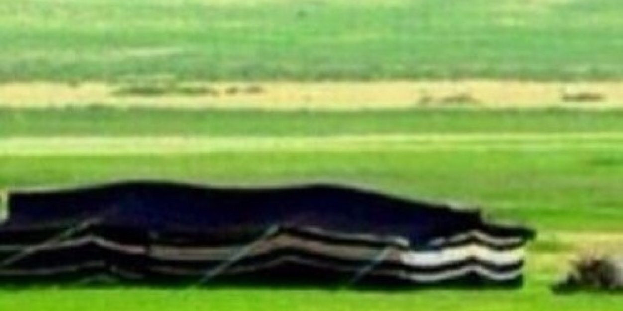 Alnadef's profile banner image