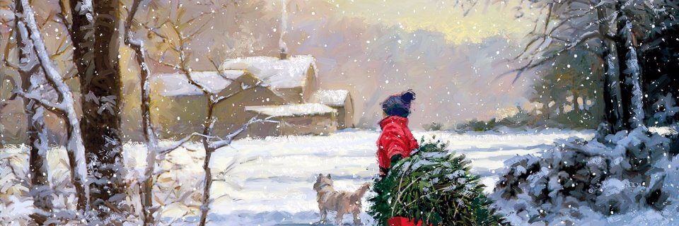Navidadtty's profile banner image