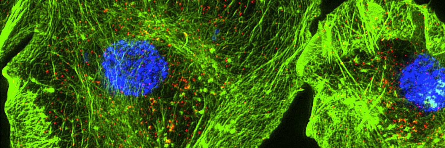 J Cell Science's banner