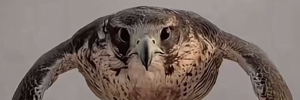 🇸🇦KSA🇸🇦المميز banner