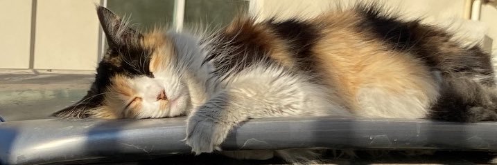 handeezdmrr's profile banner image