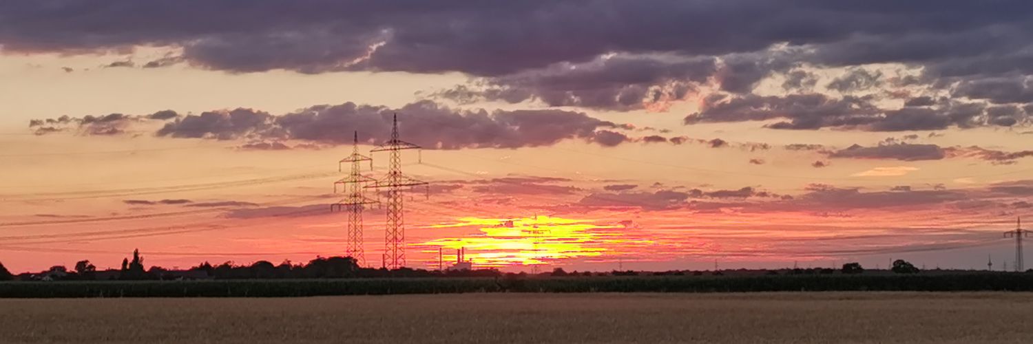 Holger Mitterwald 🇩🇪🇪🇺📯 banner