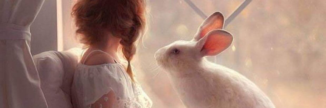 nanasam91's profile banner image