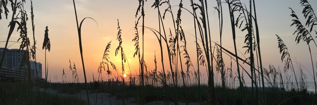 lauryn_ady's profile banner image