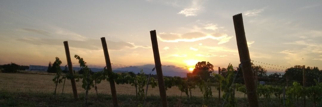 jofreilla's profile banner image