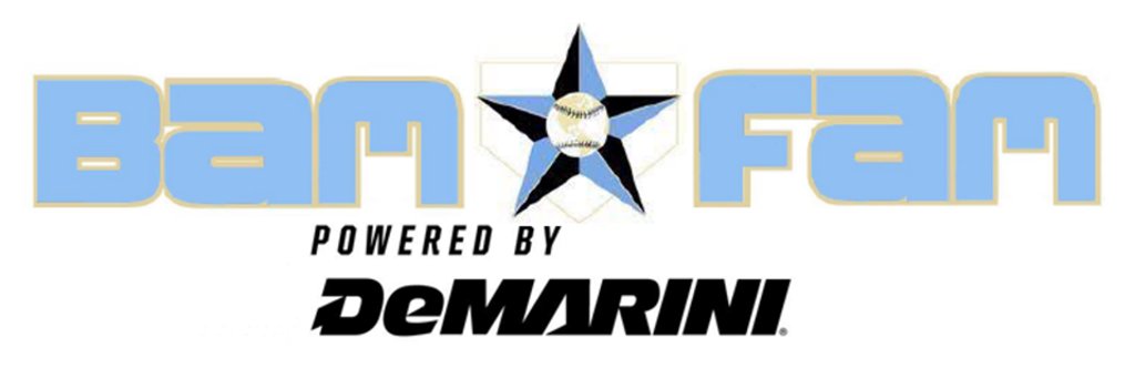 Baseball/Fastpitch Academics Midwest banner