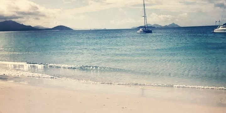 LilScrogg's profile banner image