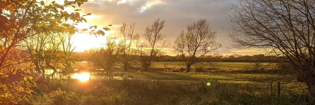 Richard Goodman 💙 banner