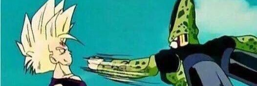 wildboybrett's profile banner image