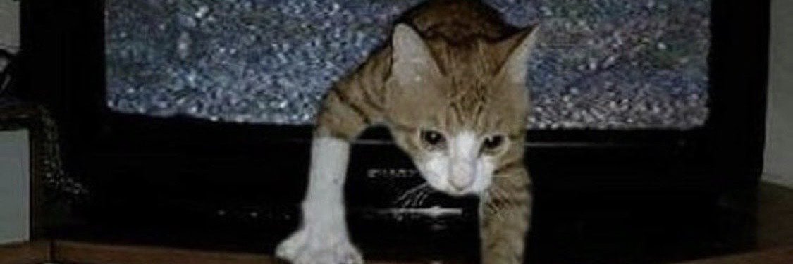 El_Cousseau's profile banner image