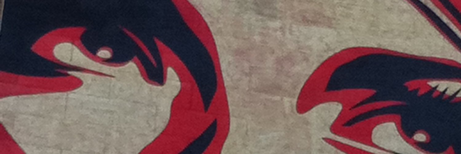 AudeSmnnl's profile banner image