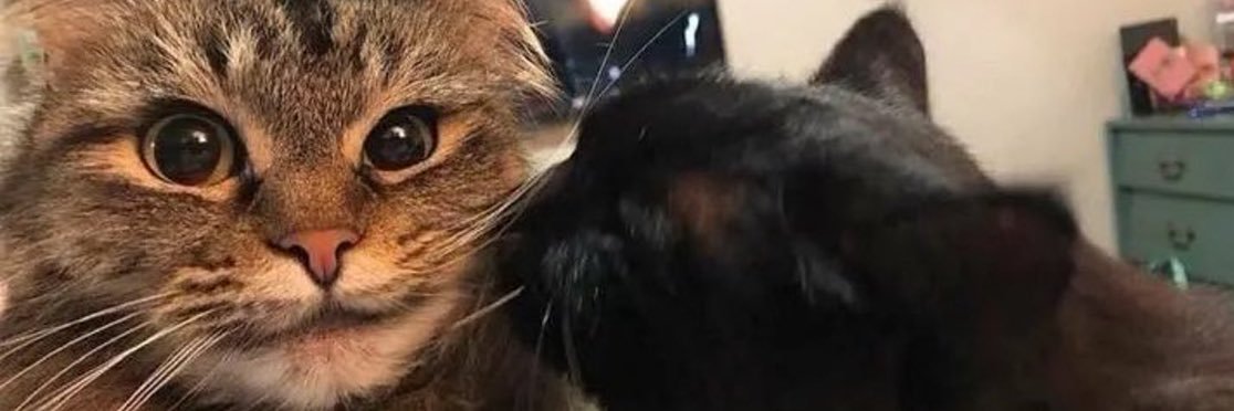 brysongarrett0's profile banner image