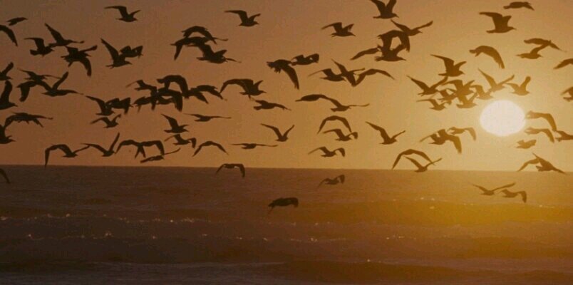 Howlingwords's profile banner image