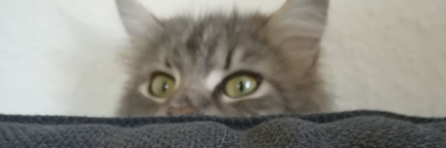 LeSchu_'s profile banner image