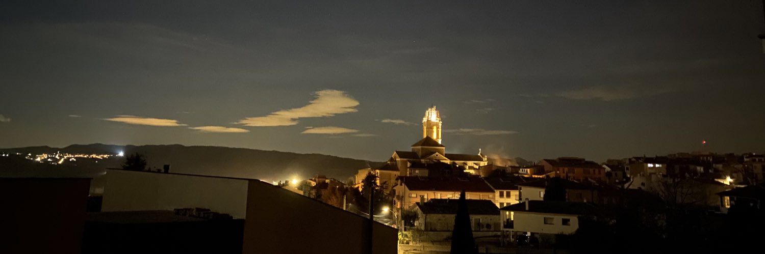 Sílvia Mur i Allué banner