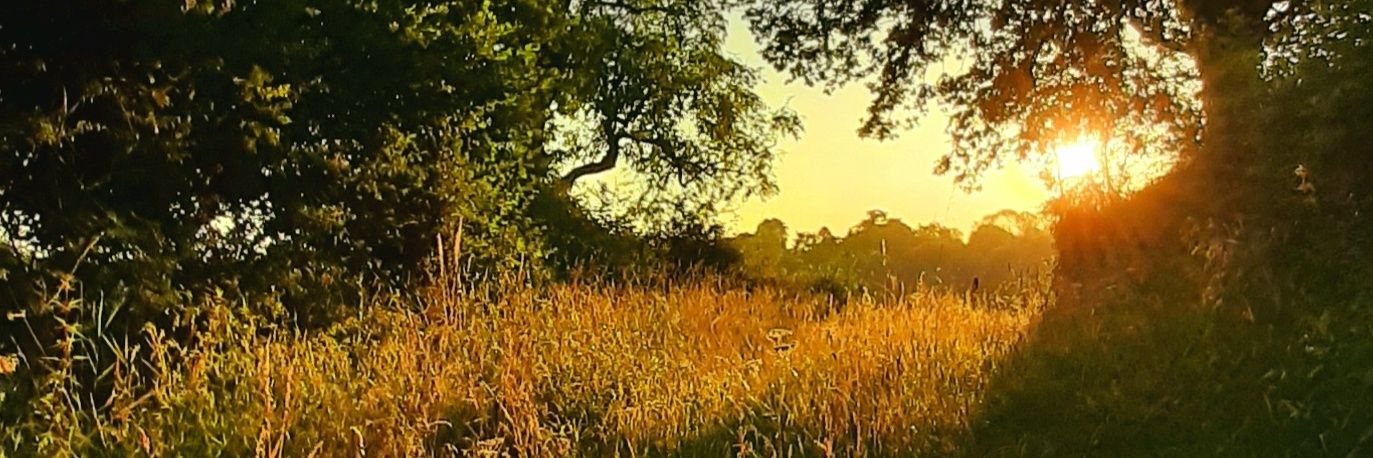 AndyWilcocks's profile banner image