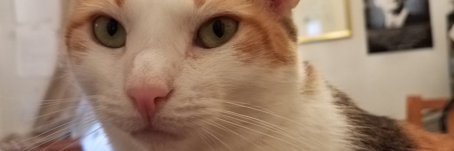 Rueben Martinez💛 banner