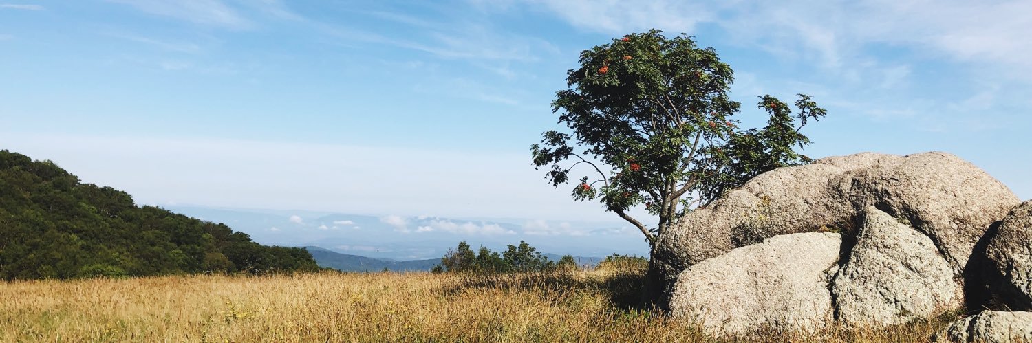 Britten Taylor banner