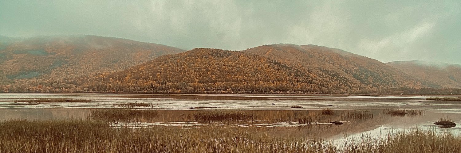 janiklipke's profile banner image
