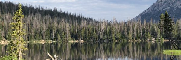 zannkwan Profile Banner