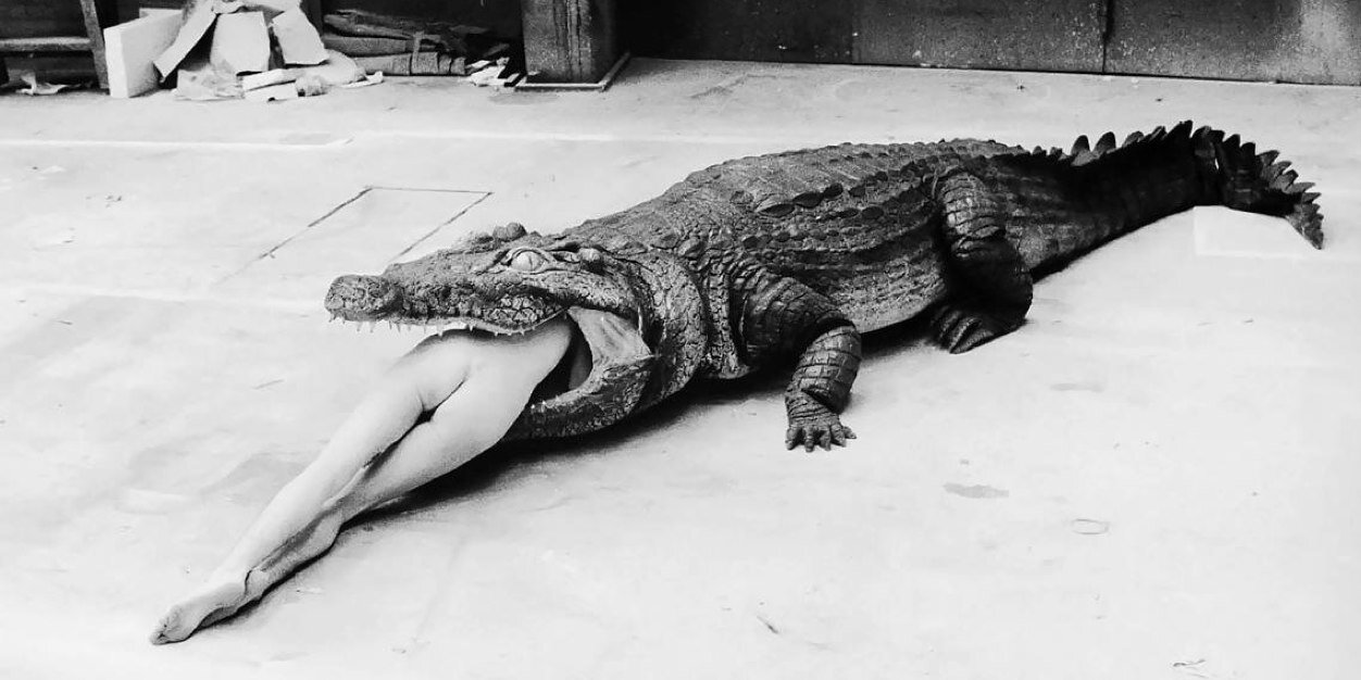 GinaGarfunkel's profile banner image