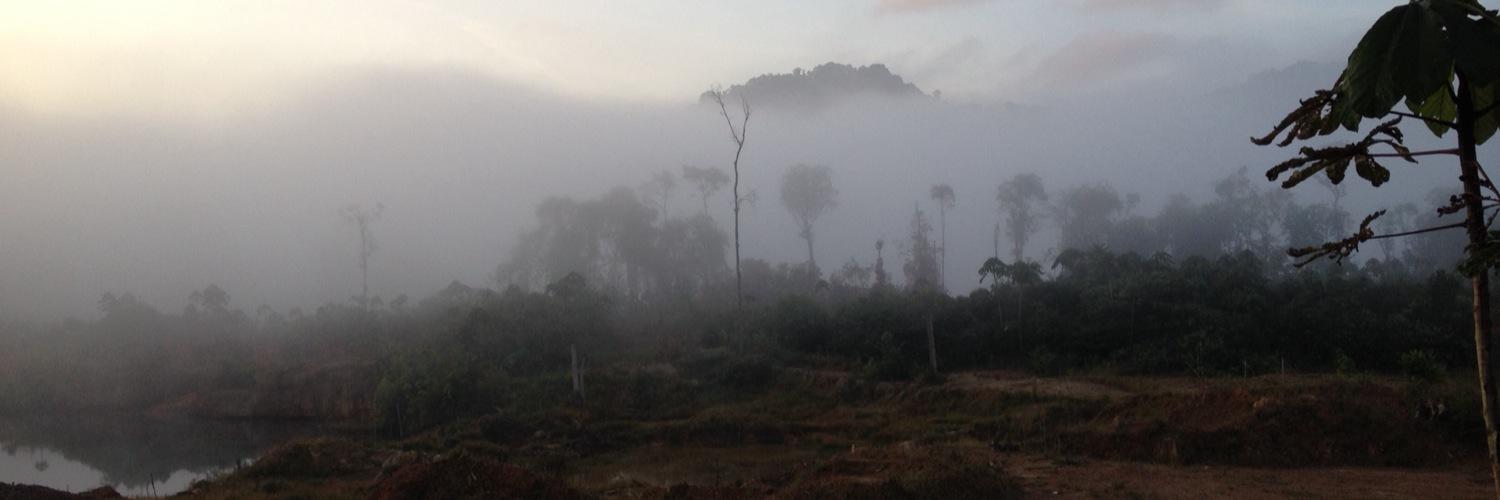 Leon Williams banner