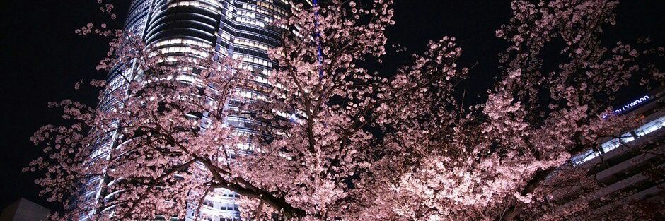 Pink_nipple_'s profile banner image