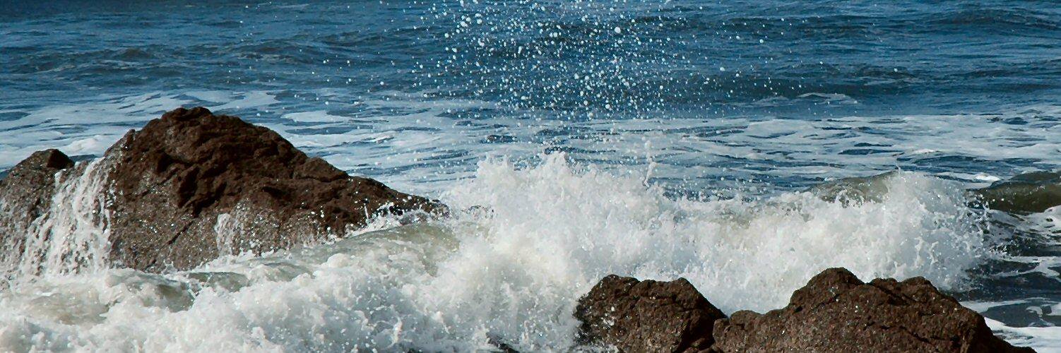 Devon Book Club banner