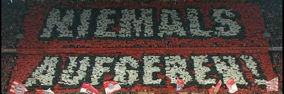 Adam de Campos banner
