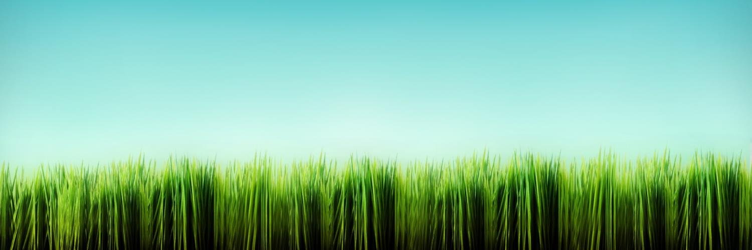rugbyguytx's profile banner image