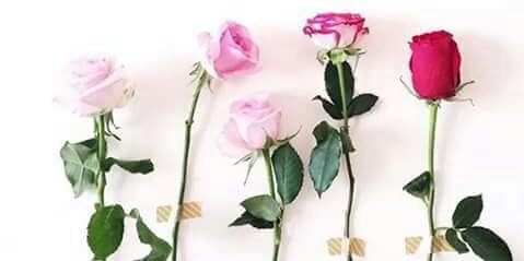 albredy5's profile banner image