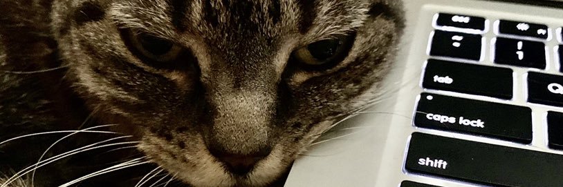 ScottJCroteau's profile banner image
