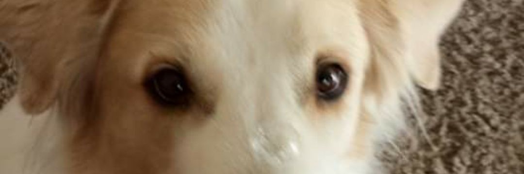 KeithAthey1's profile banner image