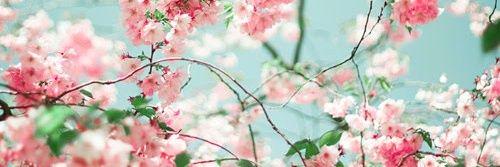 AngelaGarnica's profile banner image