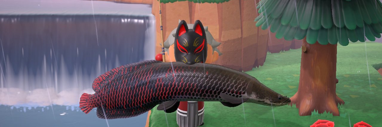 irohas_p's profile banner image