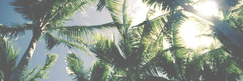 StylebyNicklas's profile banner image