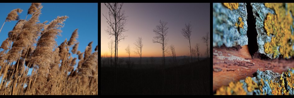 aganmusic's profile banner image